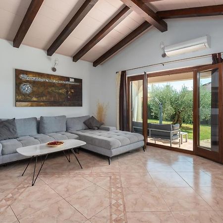 Villa Lucas Novigrad  Exterior photo
